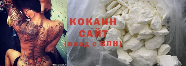 винт Пересвет